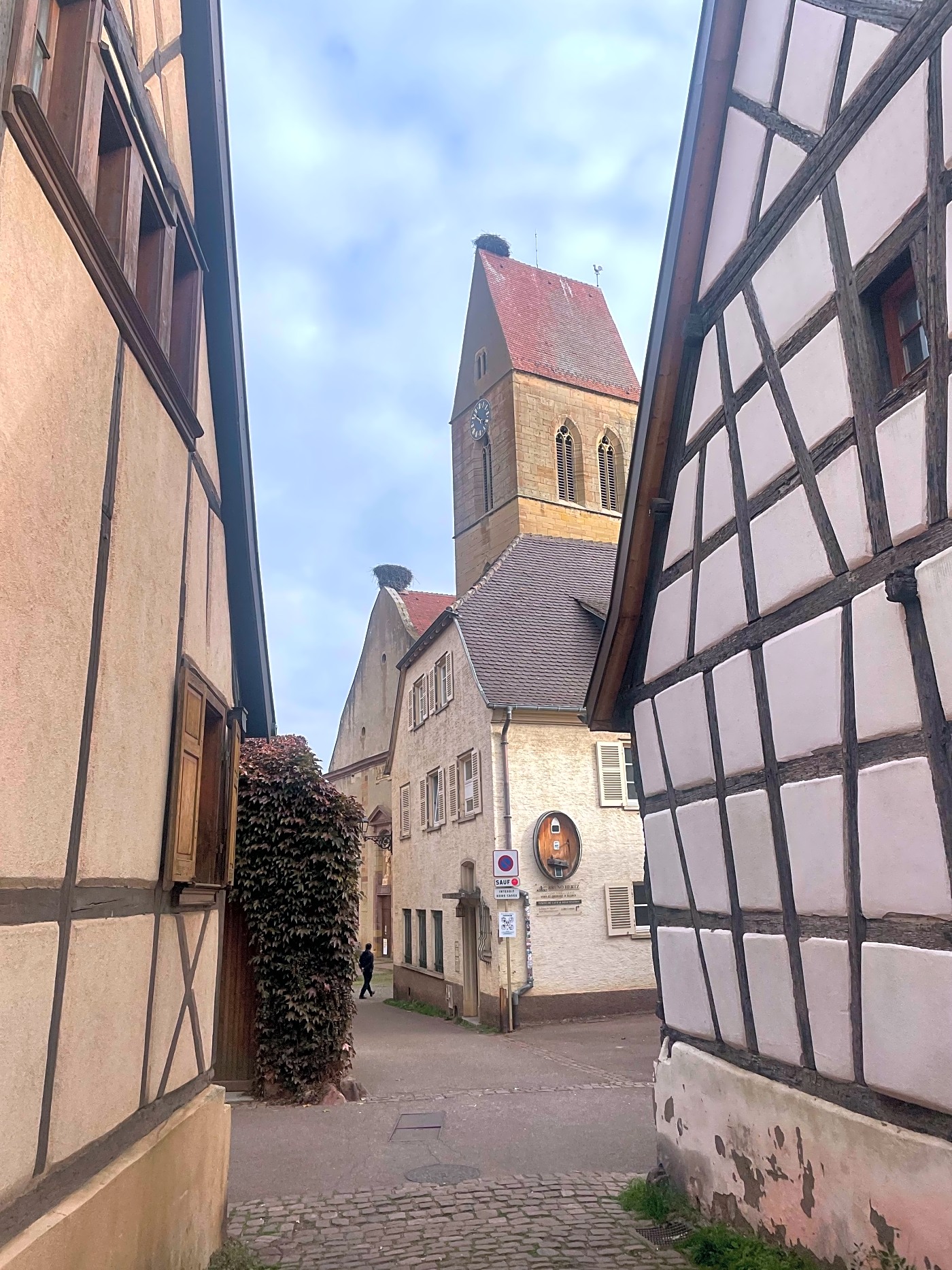 Huge stork nests on church tops size of a car in Alsace