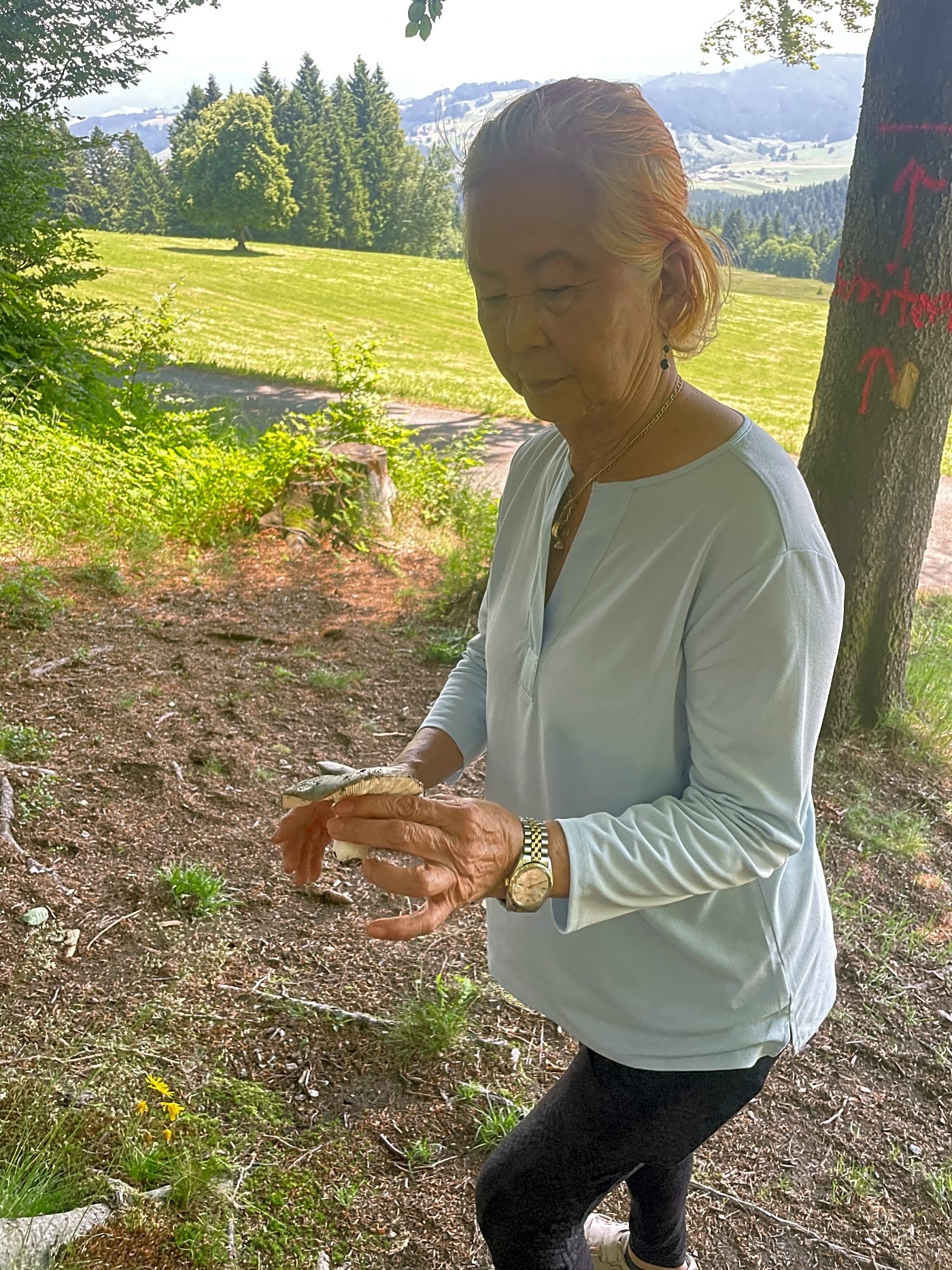 Mom picks Swiss mushroom after rain