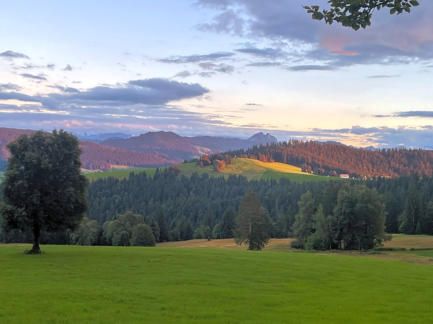 Swiss raten pass near Menzingen