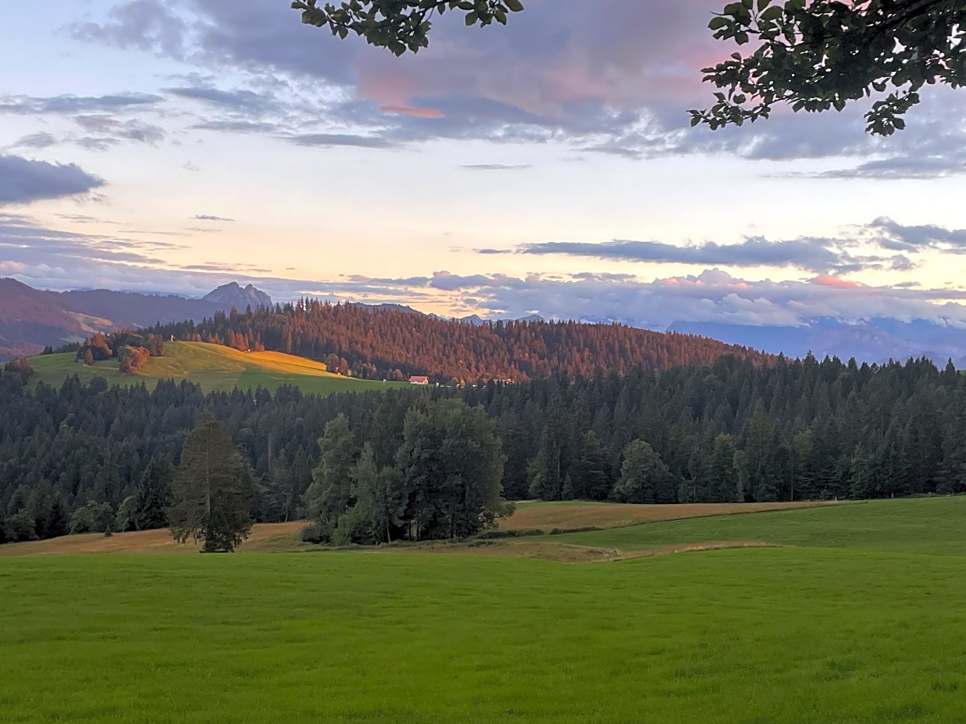 Mushroom hike near Menzingen