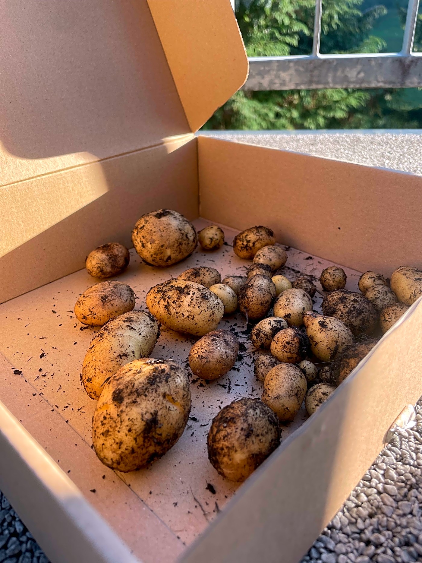 Small but organic in Switzerland