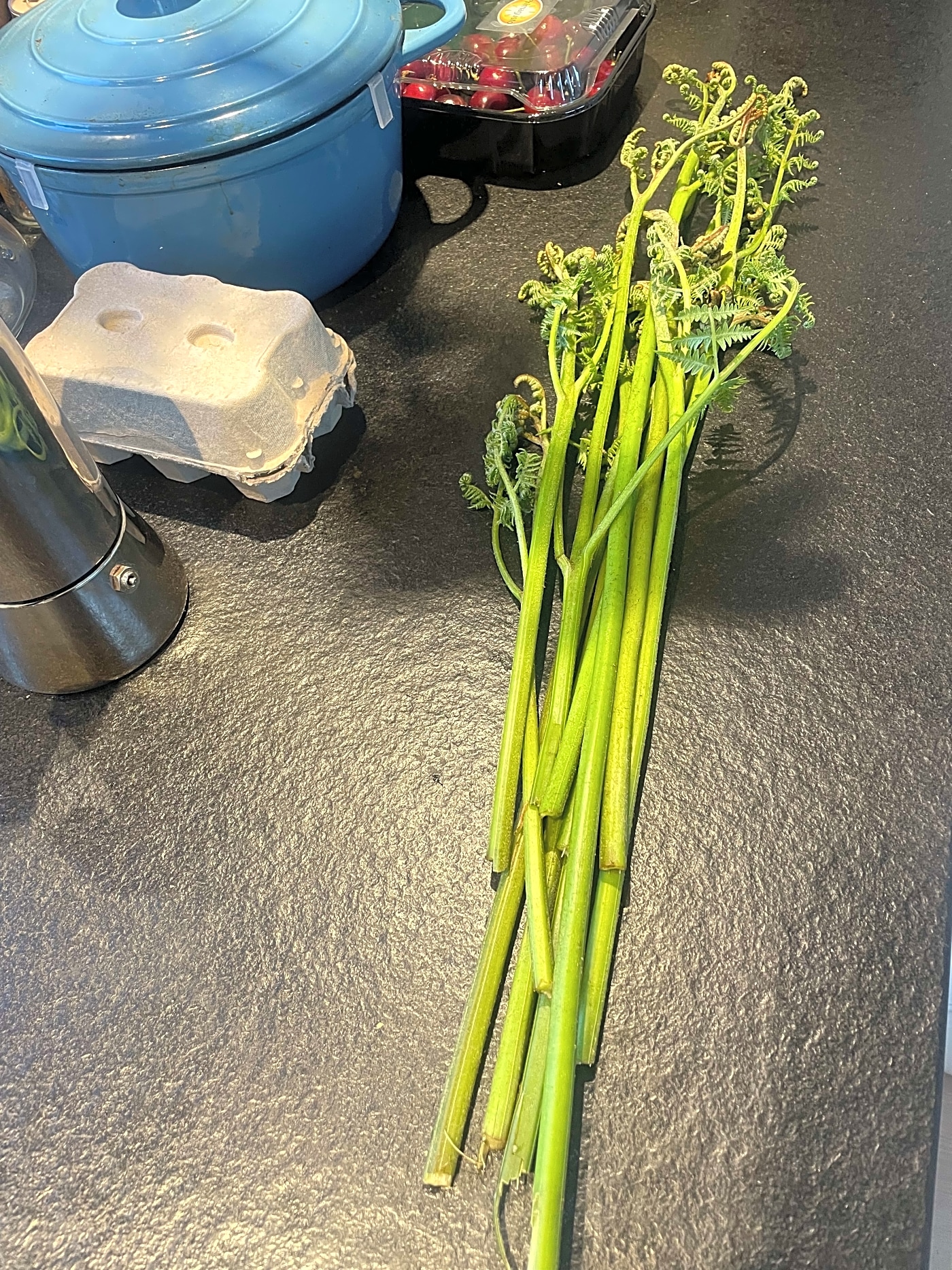 Wild fiddle head fresh at home