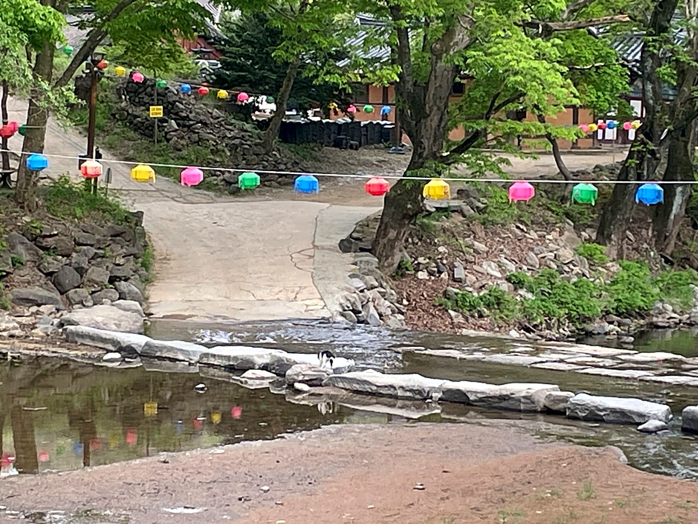 River walking stones