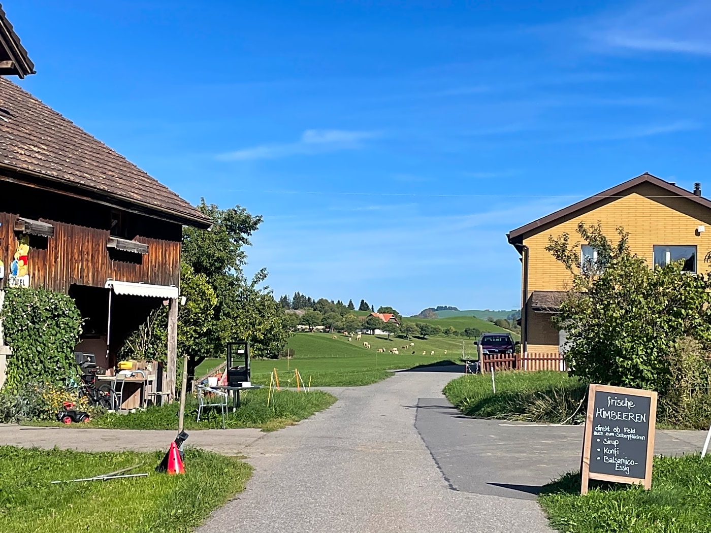 Menzingen Zug farm