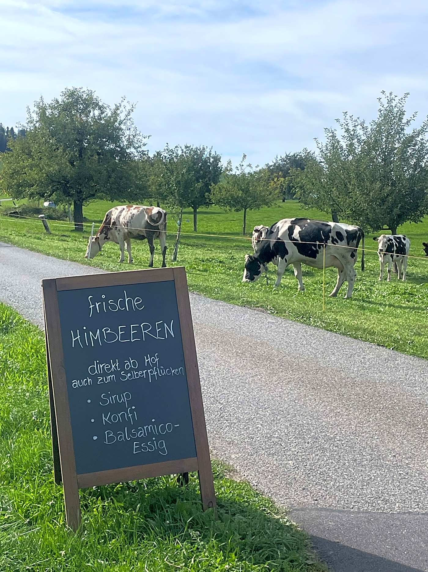 Elsener Family farm
