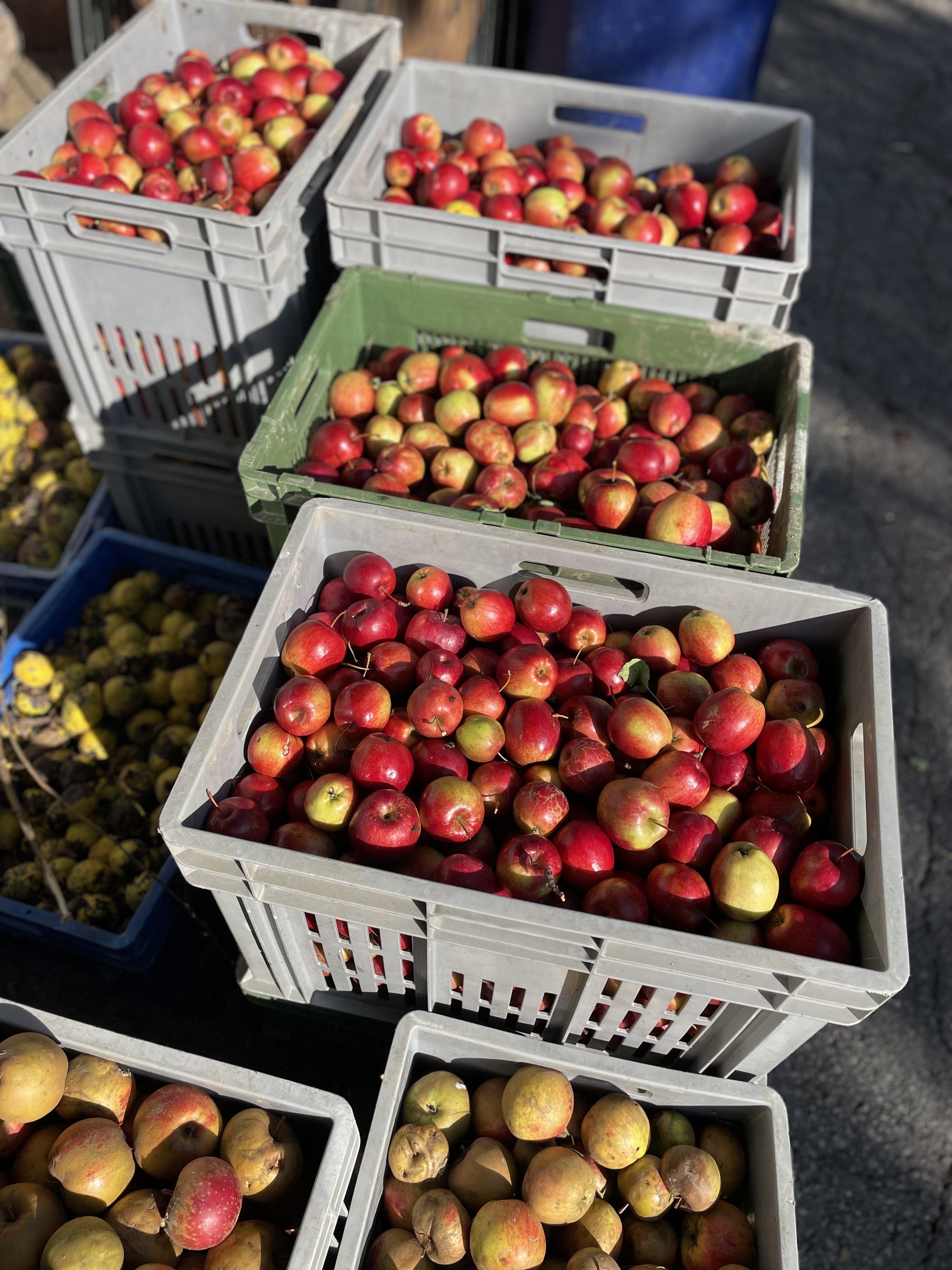 Fall harvest food tour