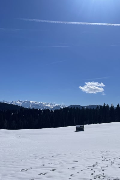Listing photo 7