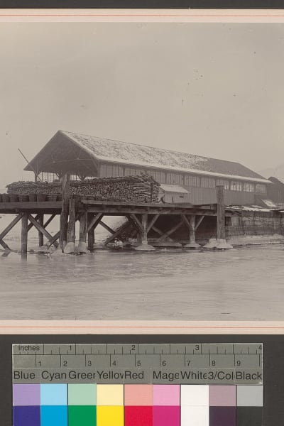 Listing photo 1