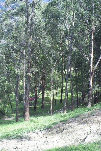 Listing photo 4