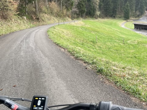 Zug nature hikes