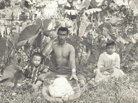 Waiāhole Poi Factory