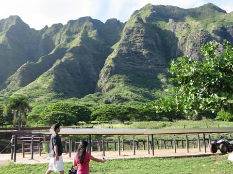 Kualoa Ranch valley tour