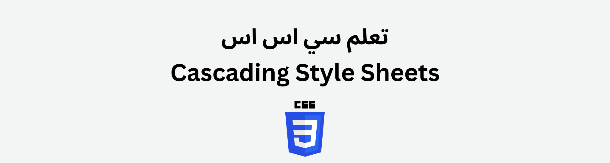 تعلم سي اس اس ومكتاباتها