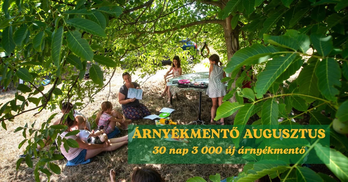 ÁRNYÉKMENTŐ AUGUSZTUS - VIRTUÁLIS TALÁLKOZÁS