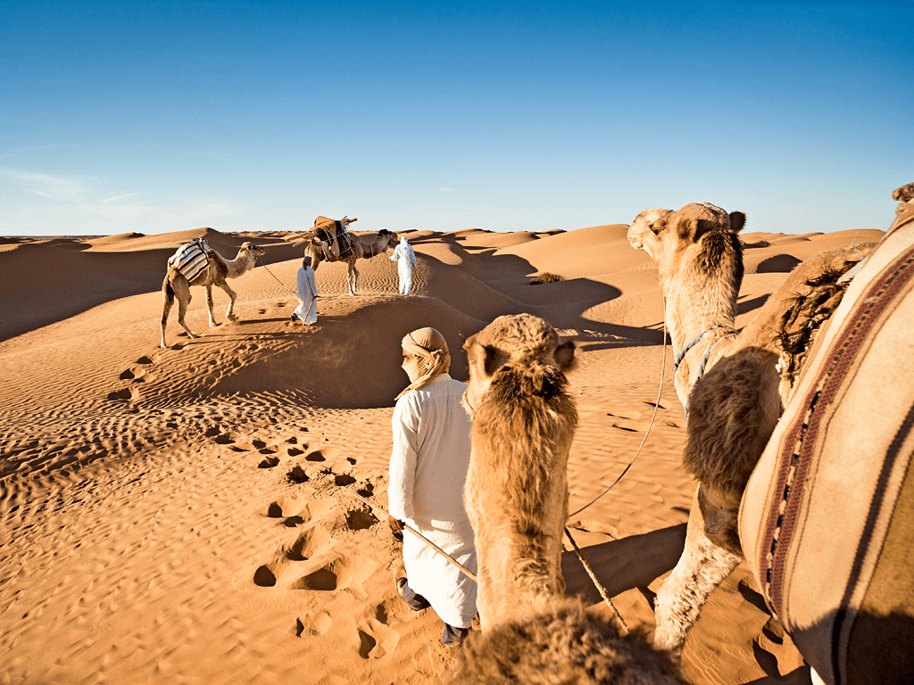 Sahara Desert Adventure: From Tozeur to Douz
