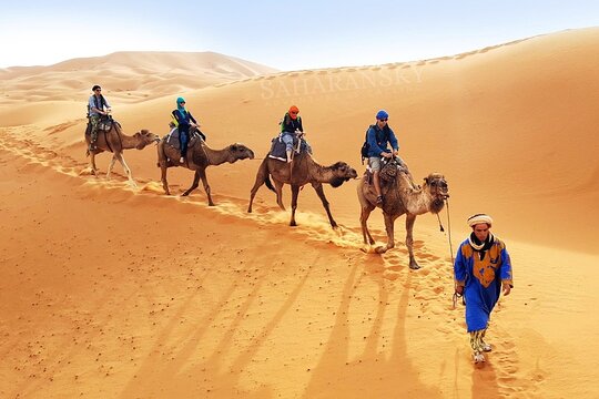 Camel Ride in Chott el Jerid