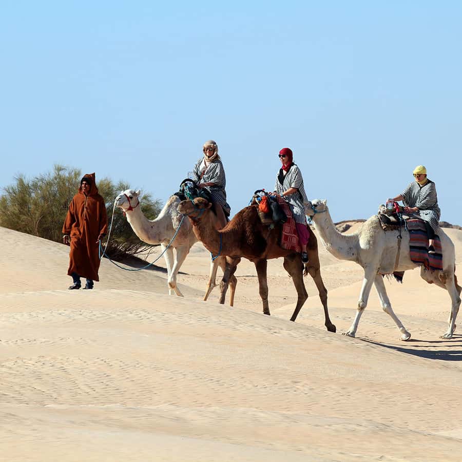 Camel Ride in Douz