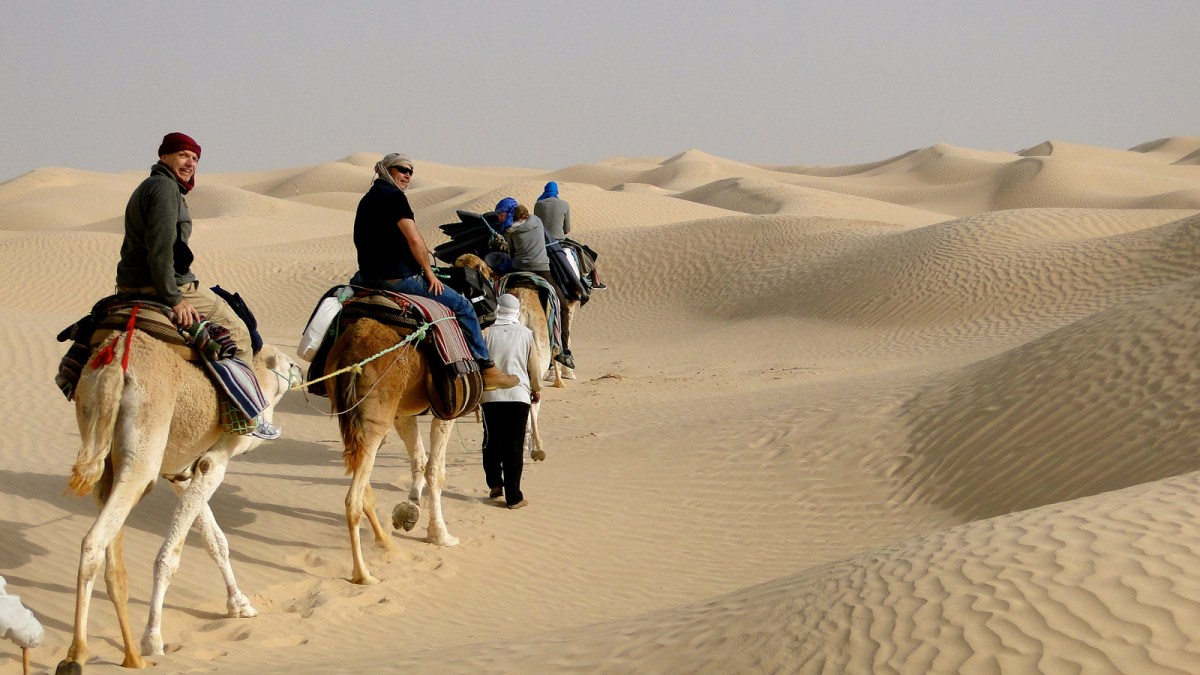 Douz: Camel Ride and Oasis Exploration