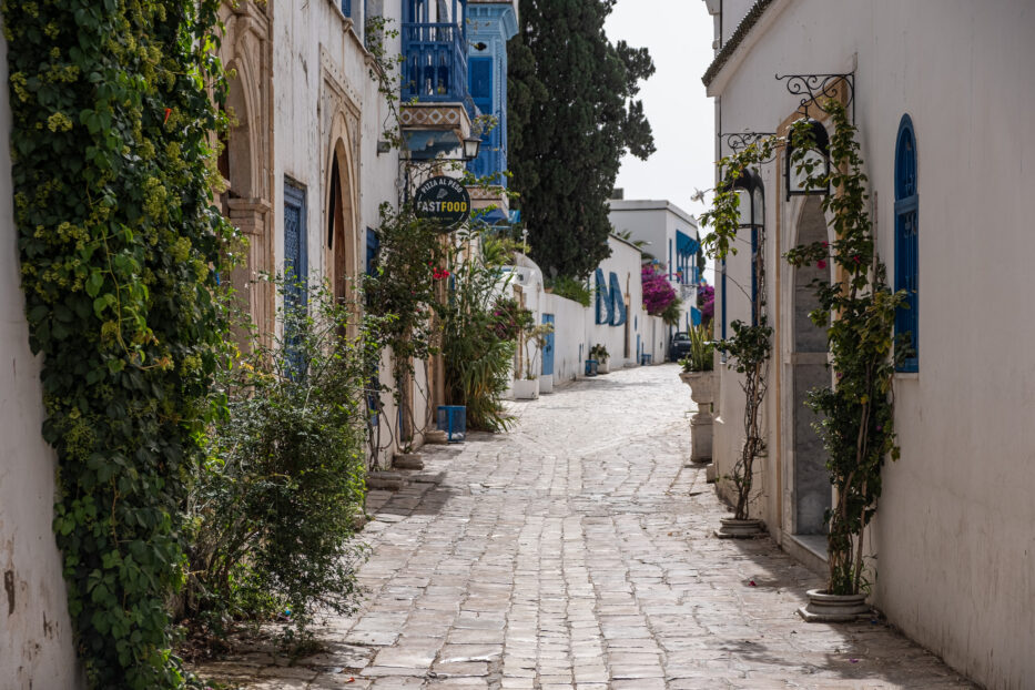 Sidi Bou Said to Carthage Coastal Trek