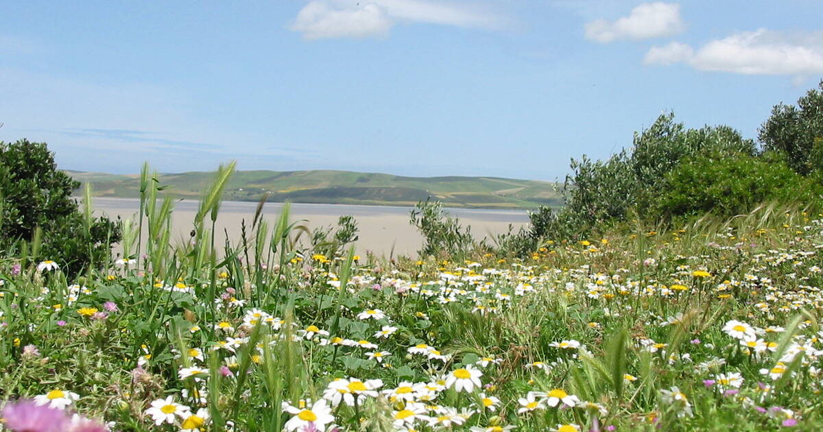 Ichkeul Lake Tunisia