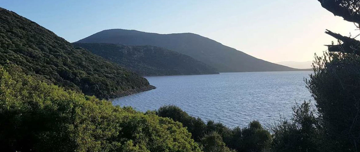 The Living Sanctuary of Ichkeul National Park