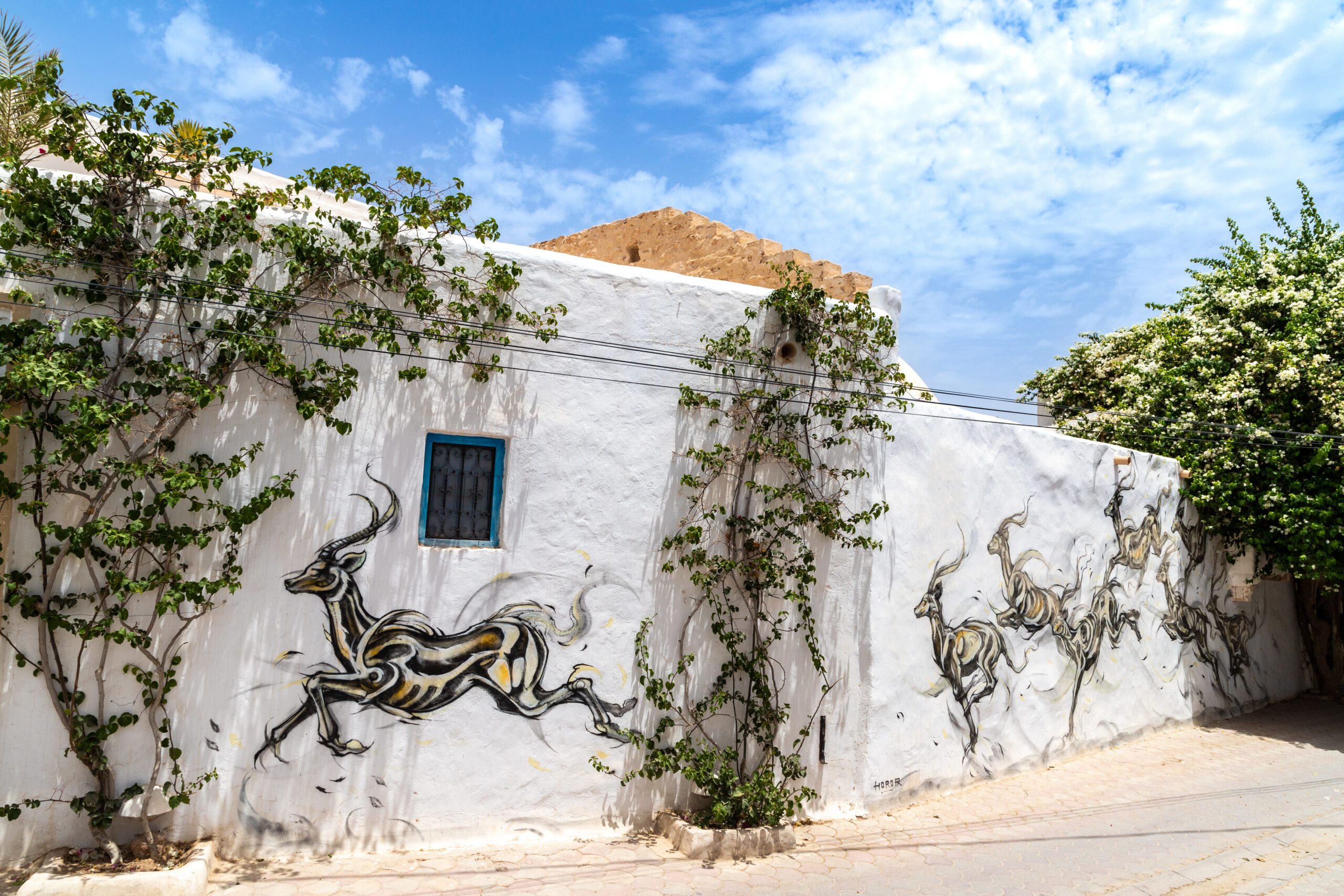 Erriadh Djerba Street Art