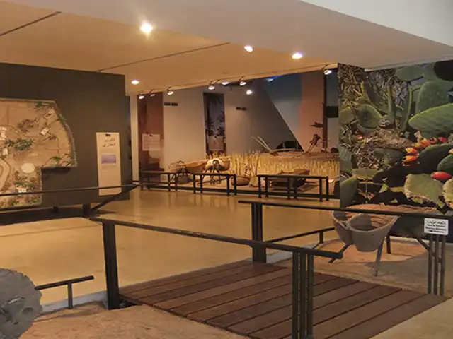 Sidi Amor Shrine Manouba