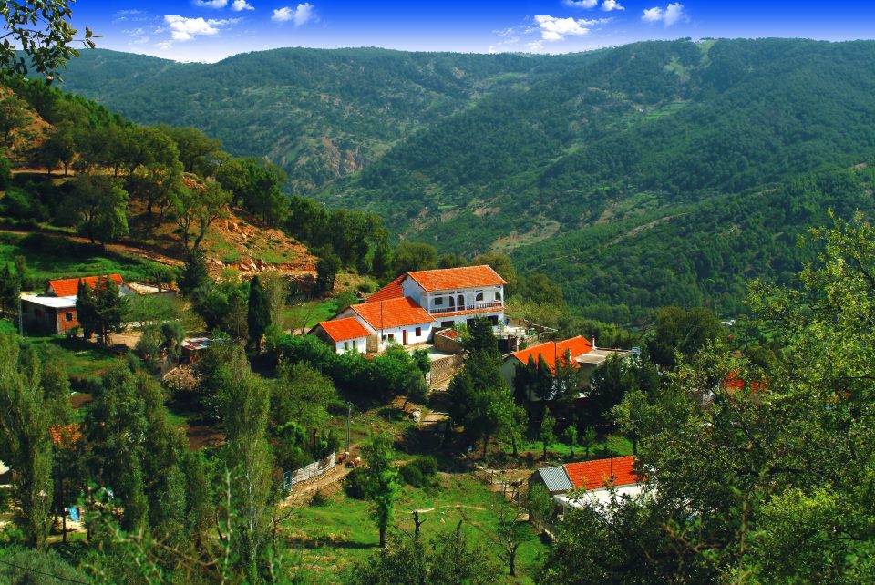 Jendouba: Tunisia’s Green Frontier of Mountains and Memory