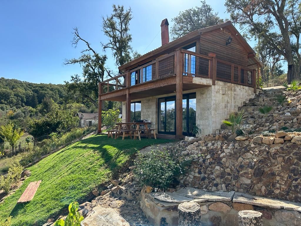 Ain Draham Forest Tunisia