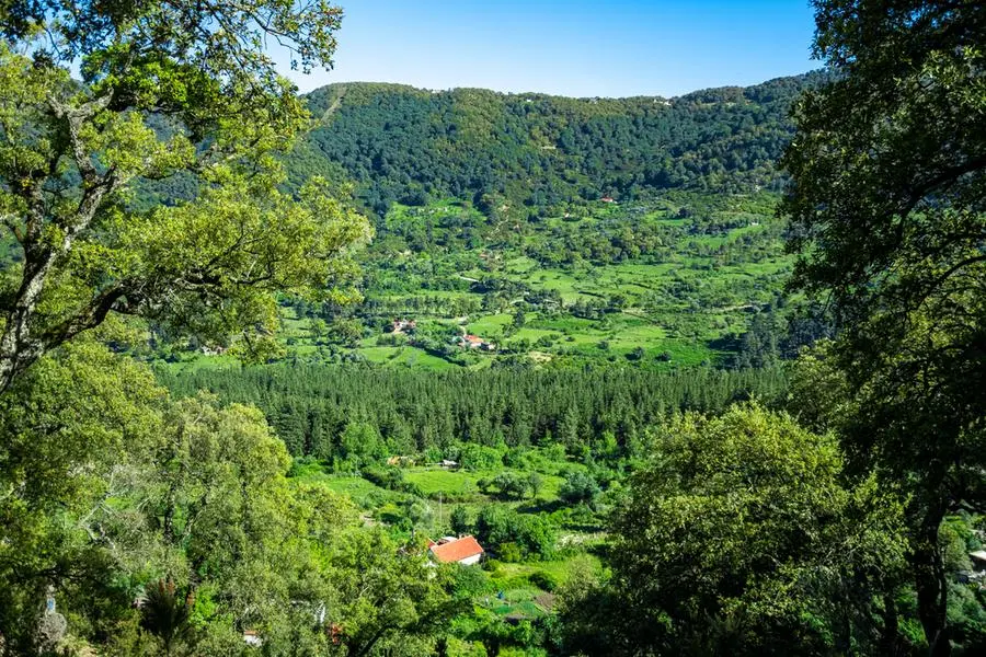 Bulla Regia Ain Draham Tour Tunisia