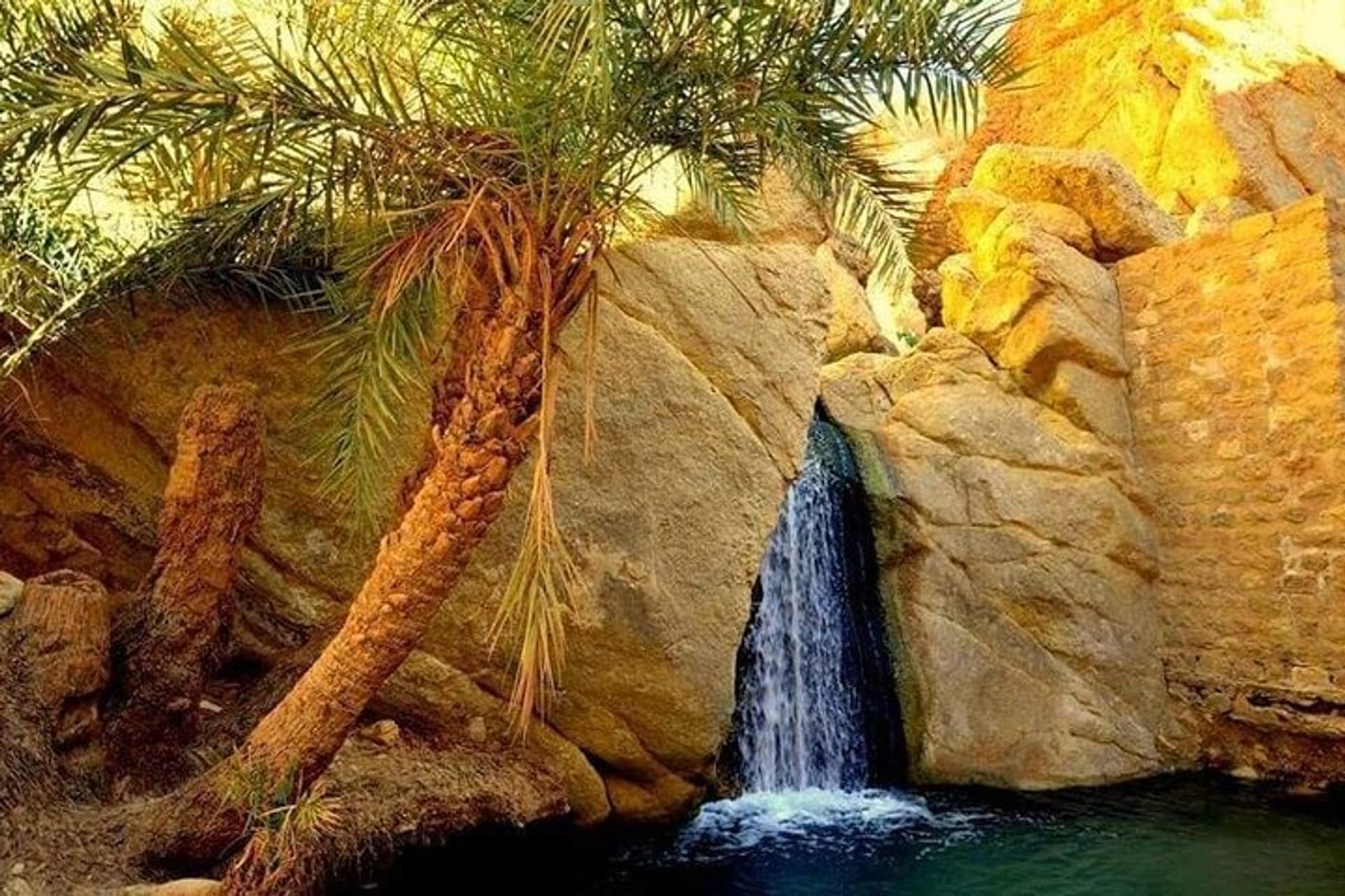 Gabes Sea and Oasis Tunisia