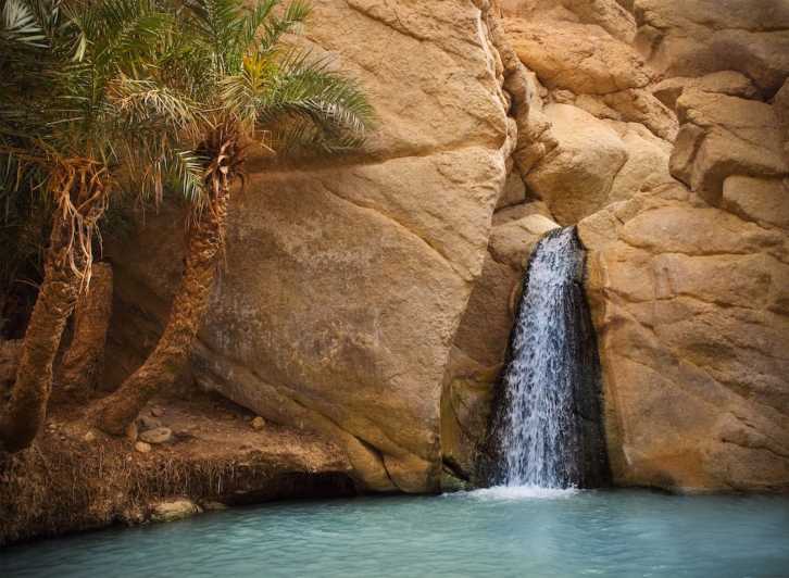 Tozeur Oasis Tunisia