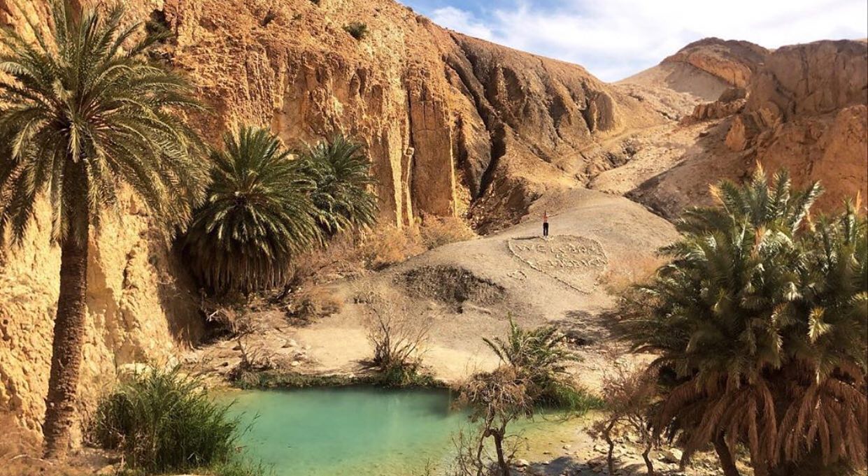 Mountain Oasis near Tozeur Tunisia