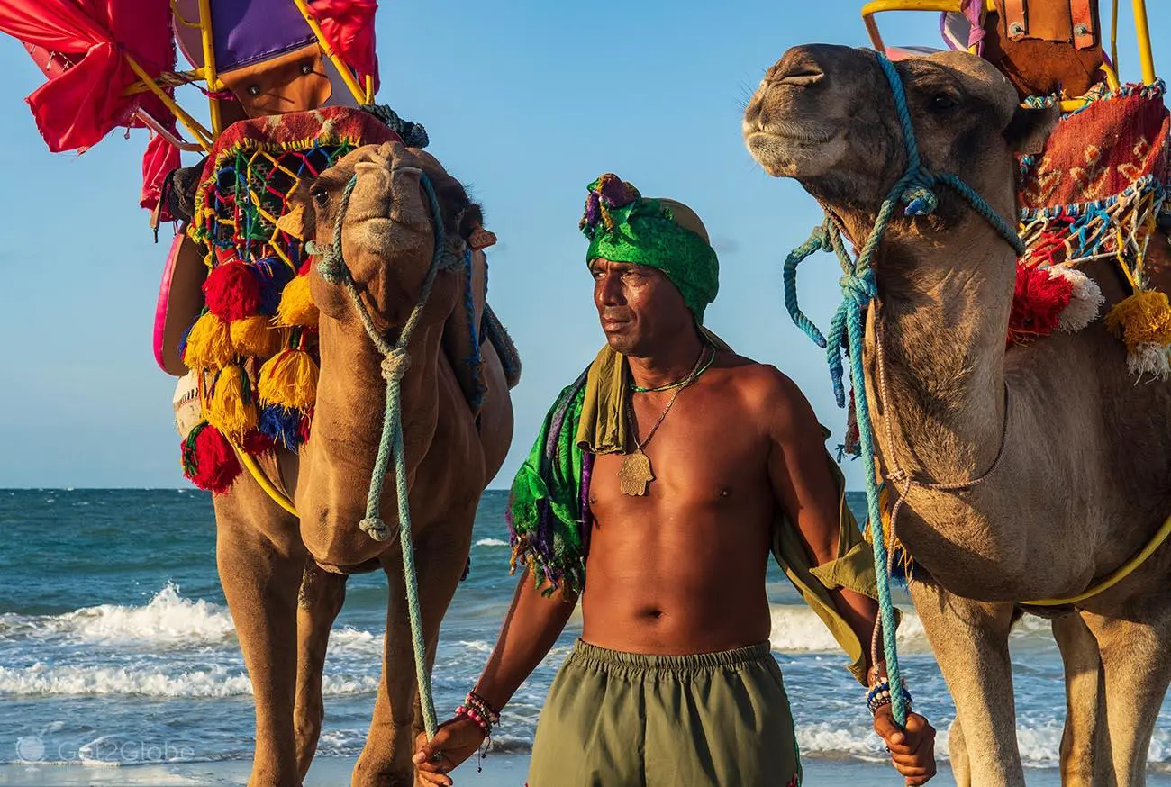 Djerba: The Island of Dreams and Eternal Sun