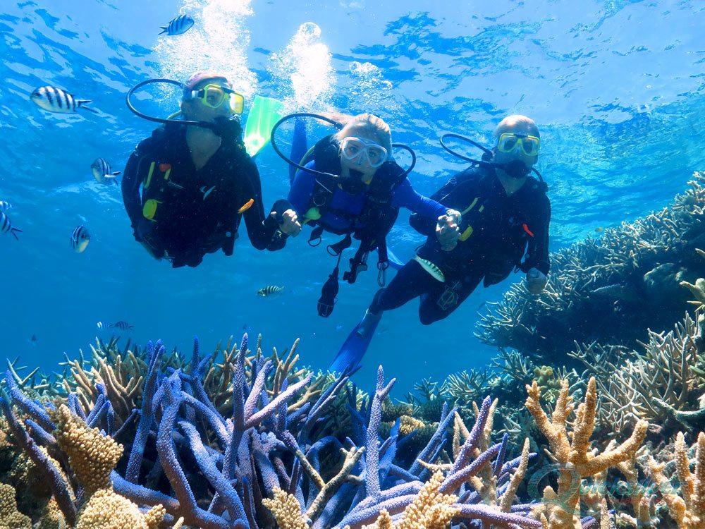 Top Adventurous Things to Do in Tunisia