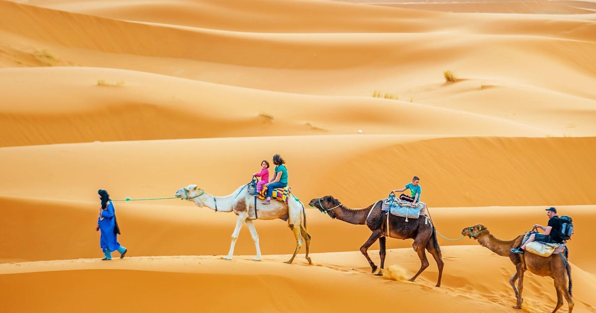 Camel Trekking in Douz