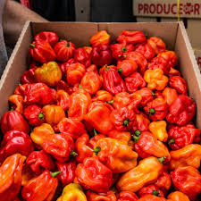 Ata Rodo Vegetable Marketplace | Shop Authentic African Products | Everything African