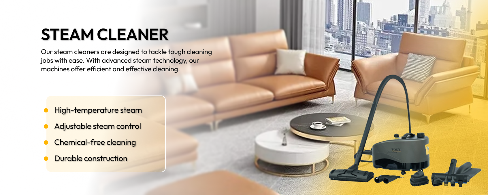 Steam Cleaner