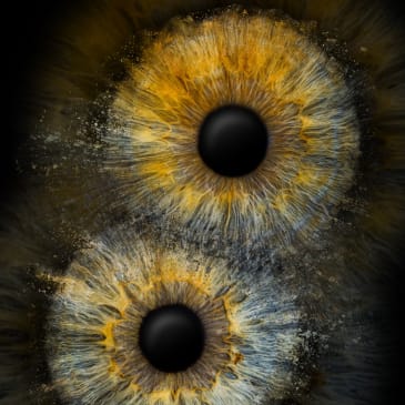 Flash Chance image: Doppelfoto Als Abzug | Gutschein Iris-Fotografie