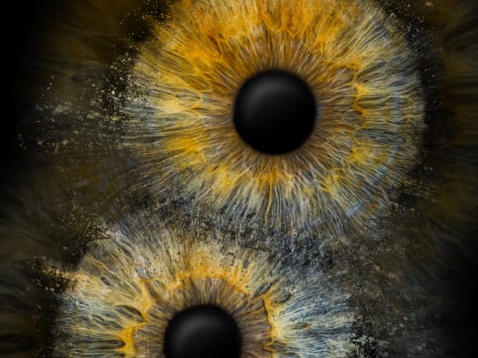 Flash Chance image: Doppelfoto Als Abzug | Gutschein Iris-Fotografie