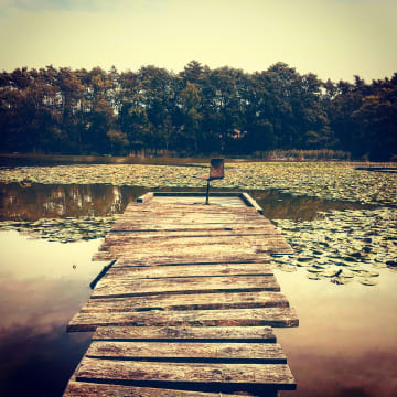 Zeigt das Profilbild von Stefanie