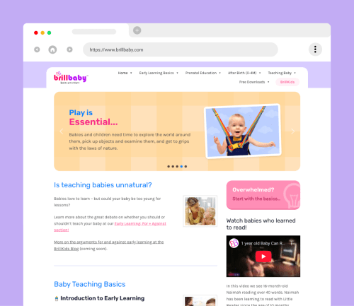 Project BrillBaby Migration