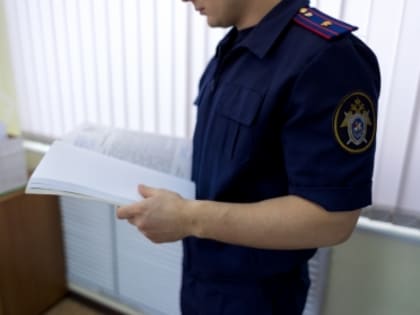 Налоговые преступления: приоритетные задачи Следственного комитета России