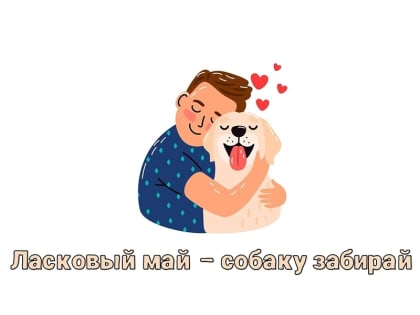 До 31 мая в Югре проходит зоозащитная акция «Лаковый май – собаку забирай!»