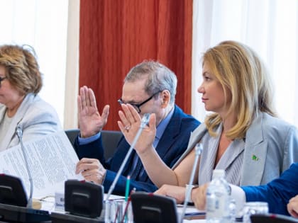 Оксана Михеева: «Обсудили вопросы повестки дня заседания Комитета по социальному развитию»