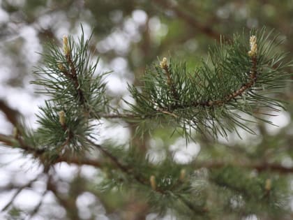 Штормовое предупреждение
