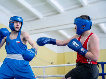 В Орехово-Зуеве прошли соревнования по боксу на призы Героя России Александра Головашкина