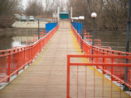На Голутвинском наплавном мосту в Коломне заменят настил