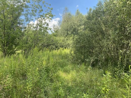 О проведении аукциона