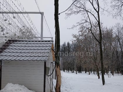 Гости парка в Истре пожаловались на&nbsp;пережатые стволы деревьев